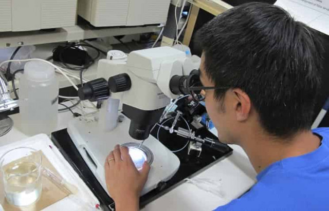 Японские ученые впервые подтвердили существование бактерий, питающихся электричеством