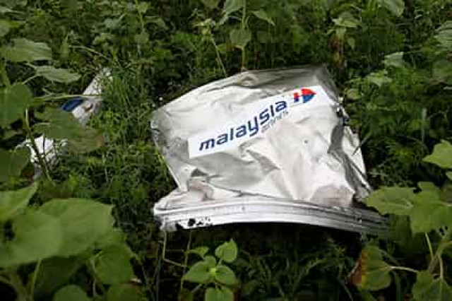 Член семьи погибшего при крушении MH17 пассажира рассказал о виновниках трагедии