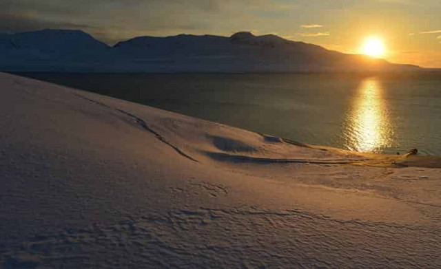 Полярный исследователь Отто Свердруп оказался в тени Нансена и Амундсена