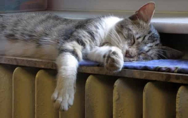 Отопительный сезон начался во всех областях