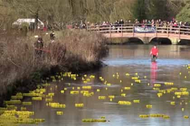 В Англии прошли гонки резиновых уточек