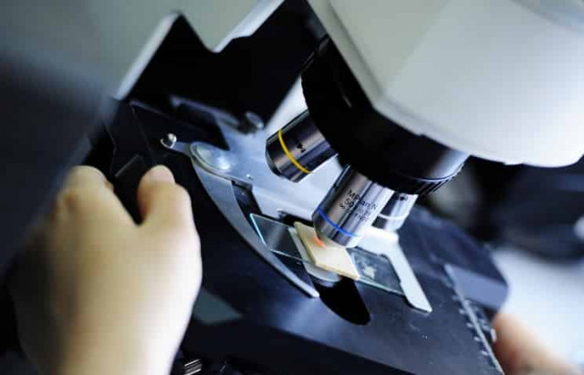 Ученые из Китая разработали новую методику борьбы с детским ожирением