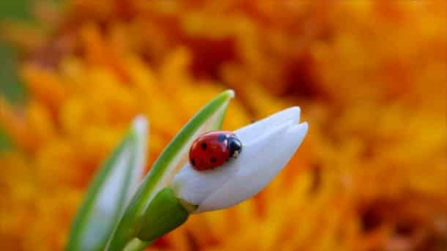 29 липня: яке сьогодні свято і прикмети дня