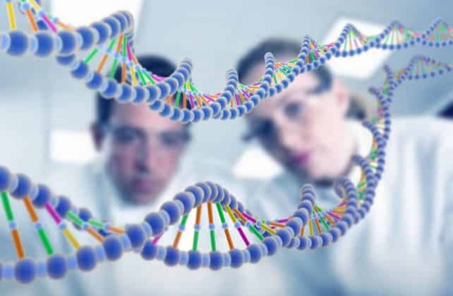 Генетики доказали: интеллект передается от мамы!