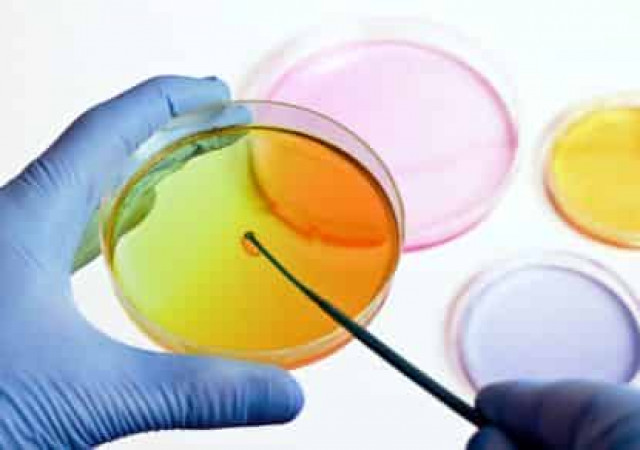 Ученые обнаружили у человека орган, который к старости работает лучше, чем в молодости