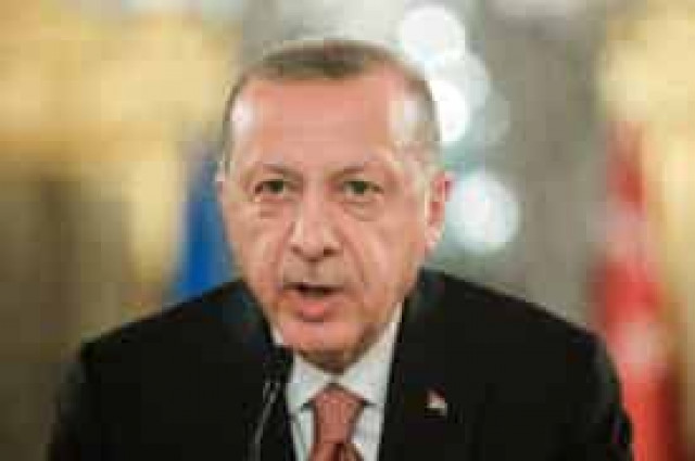 Turkey may mediate in settling situation in Sea of Azov - Erdogan