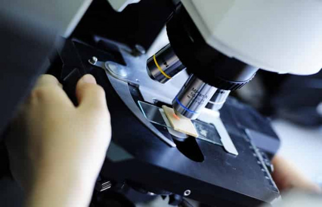 Ученые в США обнаружили генетический механизм, способствующий развитию шизофрении