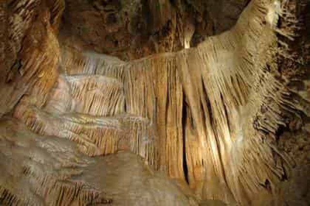 Голые американцы уйдут под землю
