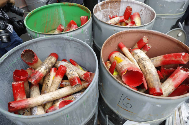 Malaysia destroys 4 tons of ivory tusks, products