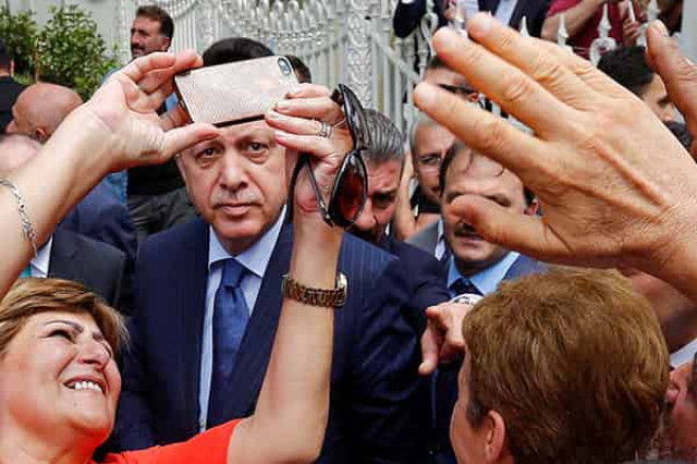 Помидор, уходи
