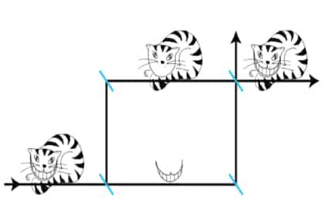 Ученые впервые наблюдали квантовый парадокс Чеширского кота