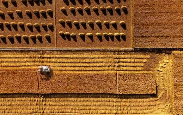 У Зеленского спешат отменить земельный мораторий