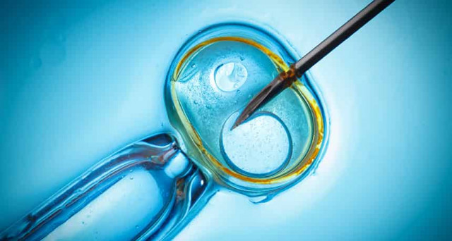 Зачем ребёнку две мамы