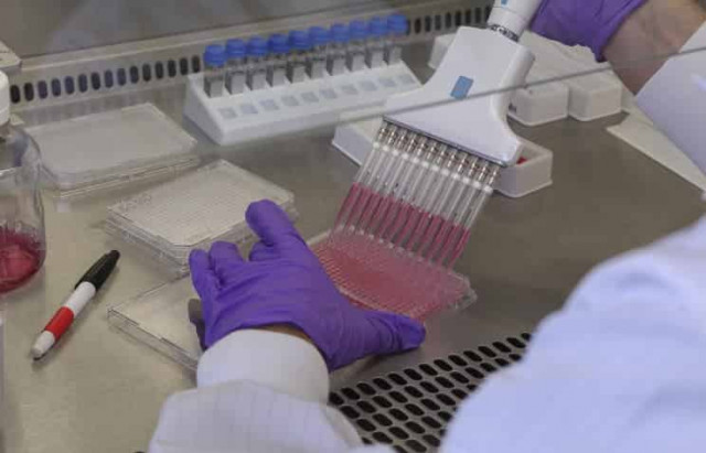 Вакцину против Эболы, созданную в Петербурге, испытают в Африке