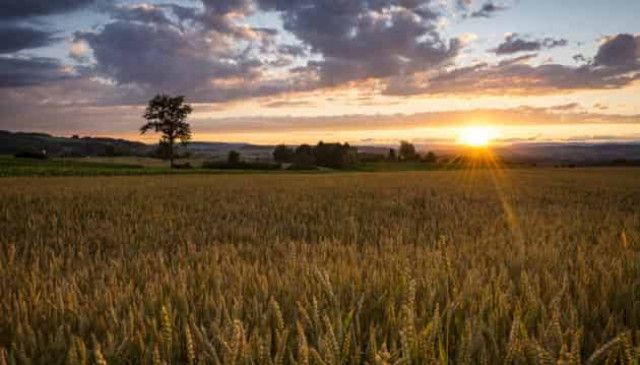 Parliament adopts land market law