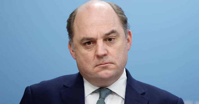 Україна не приєднається до НАТО найближчим часом - Воллес
