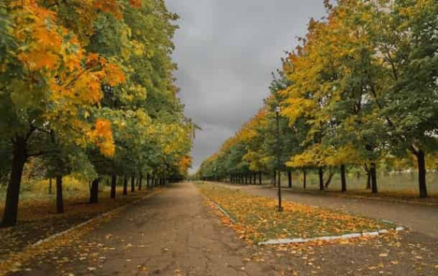 Погода на выходных: тепло возвращается