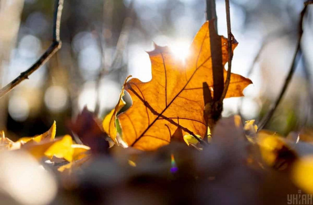 В Україну повертається 20-градусне тепло: де і коли підвищиться температура
