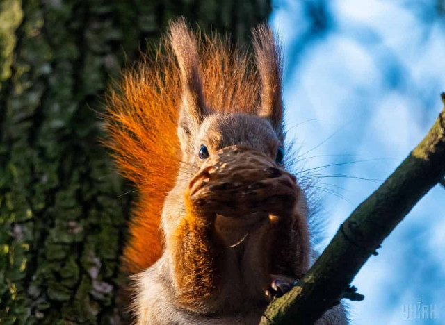 Погода меняется: синоптик рассказала, где завтра в Украине будет островок похолодания
