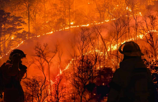 У Греції б'ють на сполох через загрозу масштабних лісових пожеж, - Reuters
