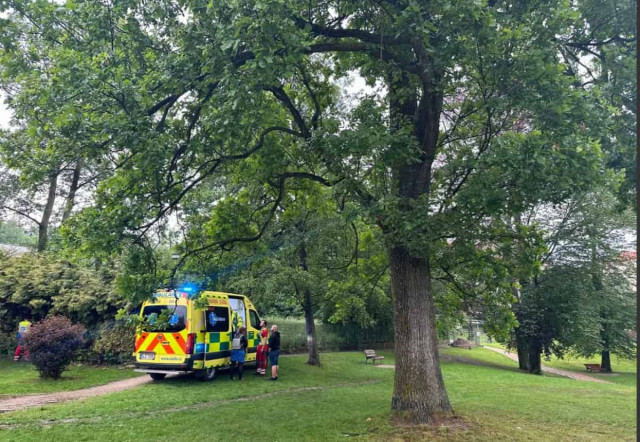 У Чехії блискавка вдарила у місце святкування Дня захисту дітей: багато постраждалих
