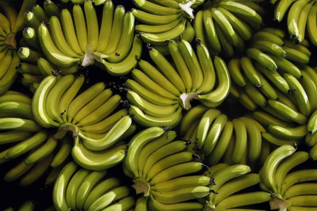 Є 7 популярних способів зберігання бананів: який найкращий
