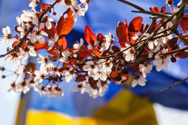 Синоптик прогнозує в Україні розкішну погоду: розігріє до +24°
