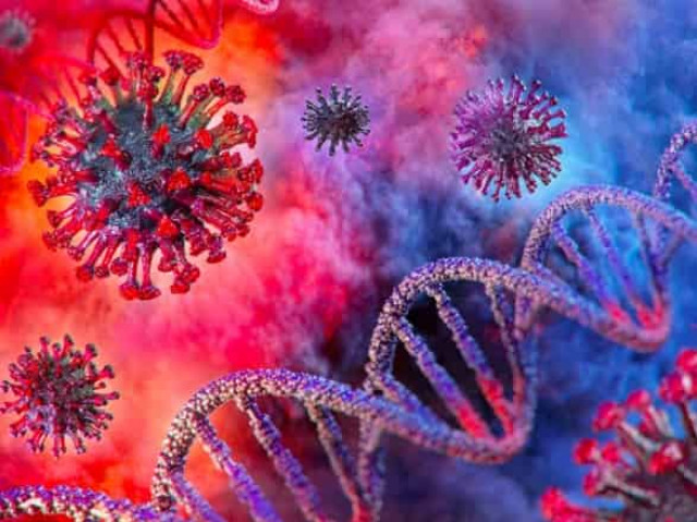 За сутки новый антирекорд 