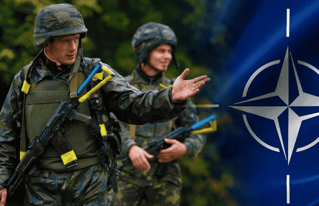 Литва приняла резолюцию об официальном приглашении Украины в НАТО
