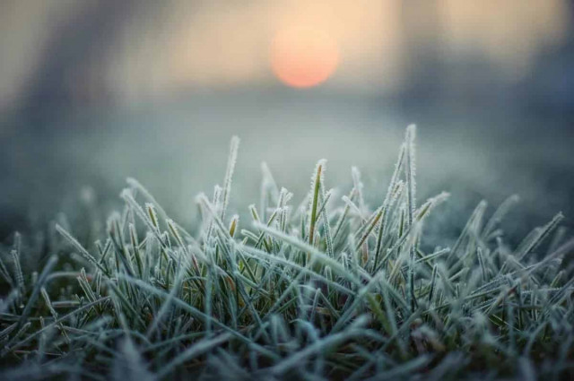 Сильні заморозки скують Україну: названо три області, де буде найхолодніше
