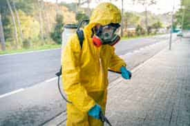 Германии грозит распространение опасных экзотических заболеваний из-за изменения климата