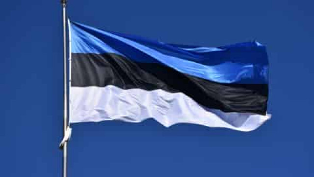 Эстония планирует опередить ЕС и начать процедуру конфискации активов РФ