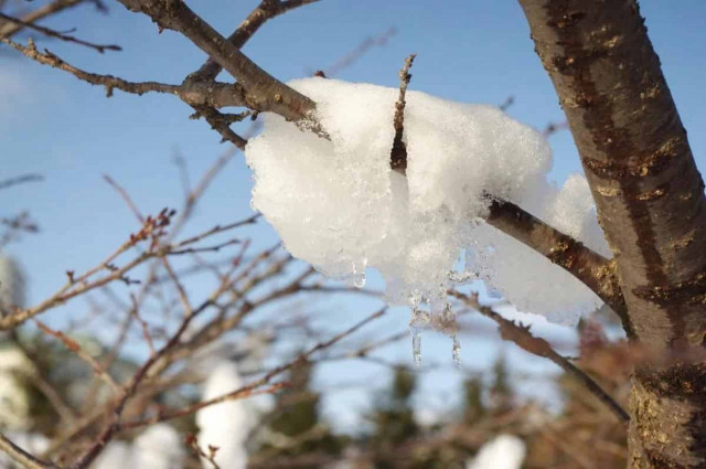 Синоптики назвали точну дату, коли в Україні знову буде 