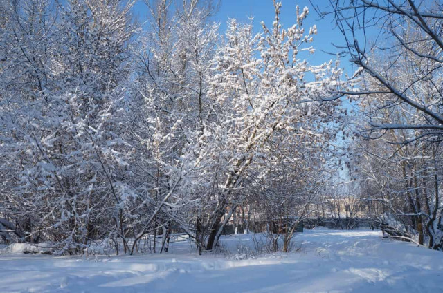 До зими відремонтувати усю енергетику не встигнемо: експерт налякав прогнозом
