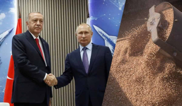 Саміт G20: Ердоган лобіює інтереси Путіна для відновлення зернової угоди
