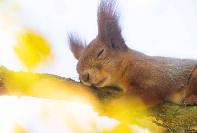 Синоптик назвала точні дати, коли в Україні потеплішає до +23°
