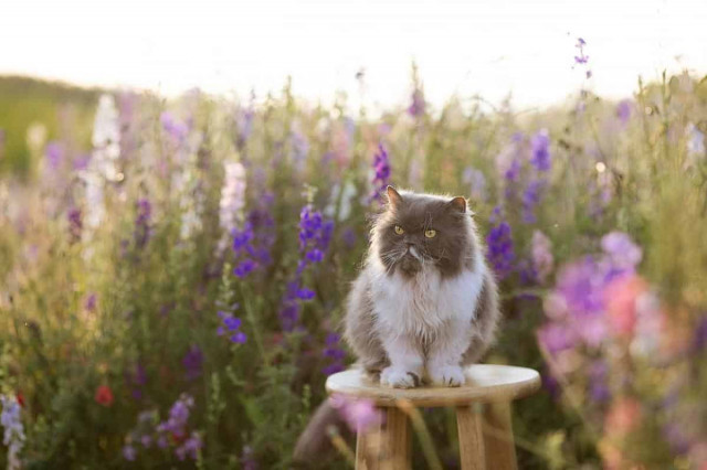 Дальше только потепление: синоптик сообщила о завершении заморозков в Украине
