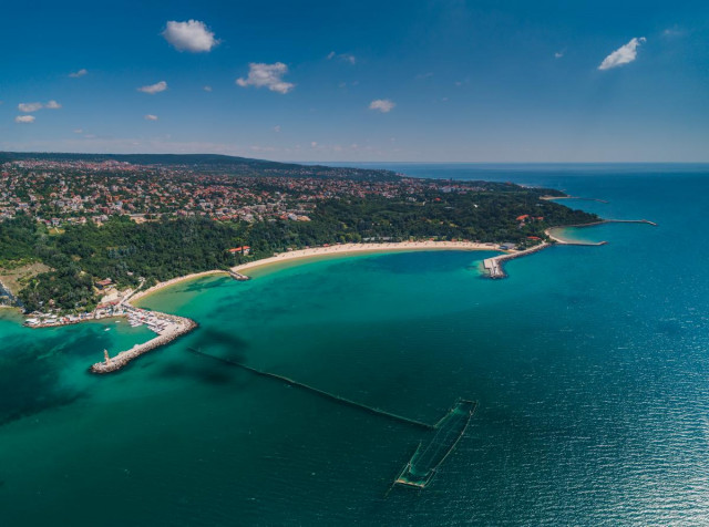 Підступні комахи: популярні курорти опинилися у зоні поширення небезпечної хвороби
