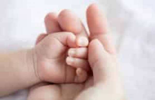 Зеленский подписал закон по улучшению условий 