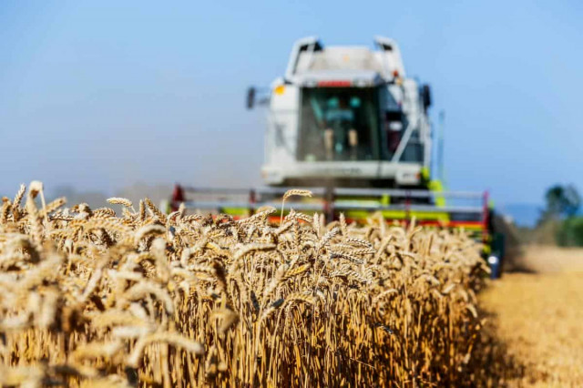 Угорщина запровадить нові обмеження на імпорт української агропродукції
