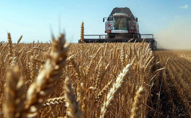 В США резко снизили прогнозы по урожаю российской пшеницы