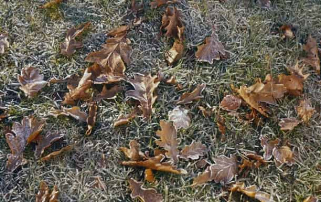 В Украину идет похолодание и заморозки