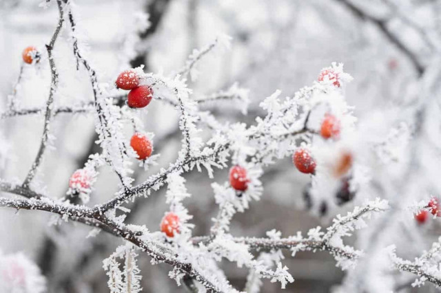 Метеоролог прогнозує похолодання в Україні: температура впаде по всій країні
