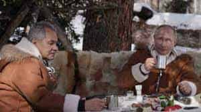 Путин и Шойгу хотят вырубить и продать украинские леса – разведка
