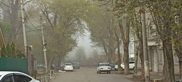 Какой будет весна в Украине: климатолог дала неожиданный прогноз
