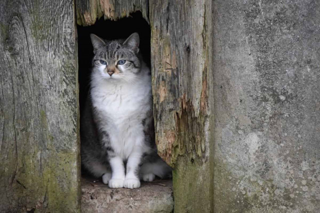 Синоптик повідомила, чи чекати українцям швидкого потепління
