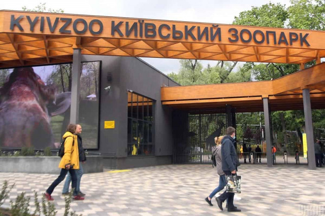 Ночная атака на Киев: обломки российской ракеты упали на территорию столичного зоопарка