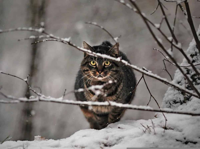 Синоптик попередила українців про потужну негоду: де погода буде найгіршою
