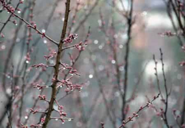 Украинцев предупредили о похолодании и дождях: появился свежий прогноз погоды