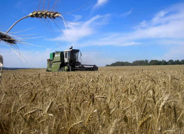 Україна подасть до суду на Польщу, Угорщину та Словаччину через заборону на зерно
